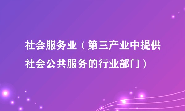 社会服务业（第三产业中提供社会公共服务的行业部门）