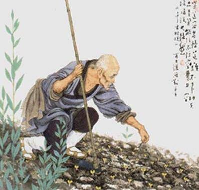 不劳而获（汉语成语）