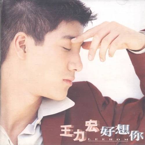 好想你（王力宏1996年演唱的歌曲）