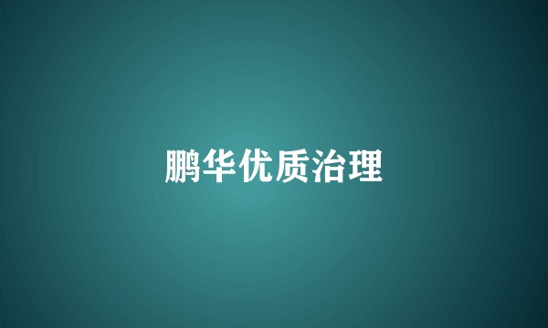 鹏华优质治理