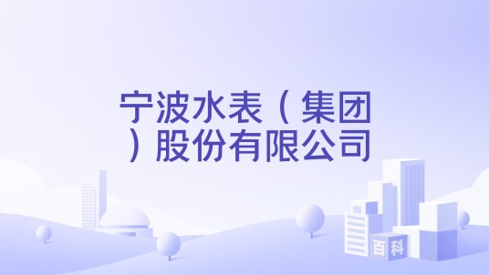 宁波水表（集团）股份有限公司