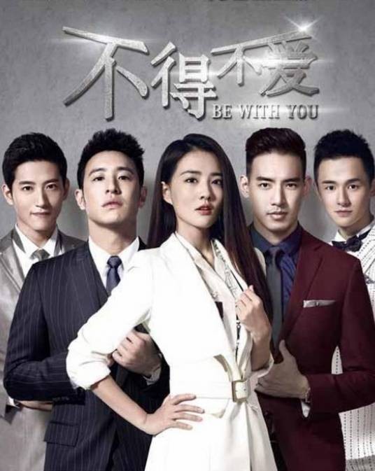 不得不爱（2017年曾丽珍执导的都市情感剧）