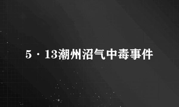 5·13潮州沼气中毒事件