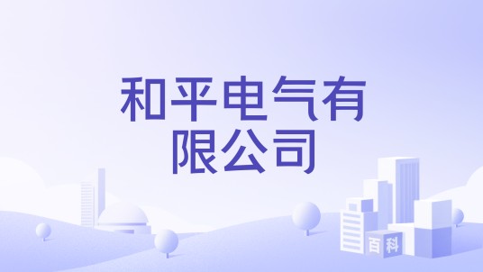 和平电气有限公司