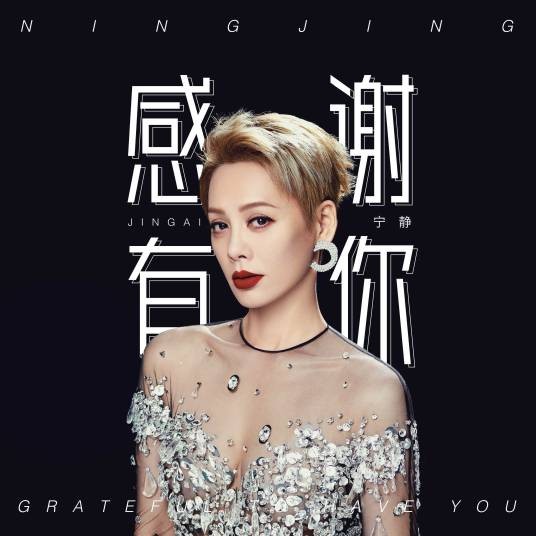 光阴（宁静演唱的歌曲（2020年））
