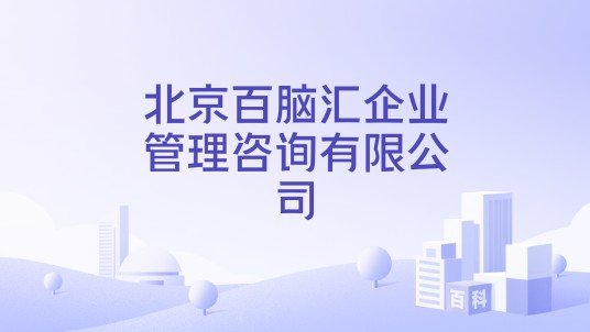 北京百脑汇企业管理咨询有限公司