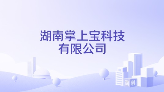 湖南掌上宝科技有限公司