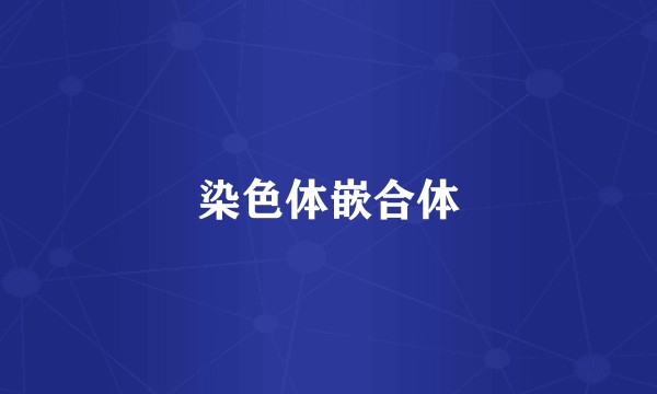 染色体嵌合体