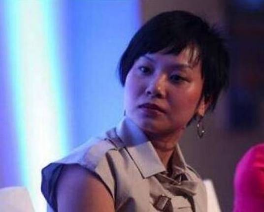 刘晓庆(晨鑫科技原董事长)