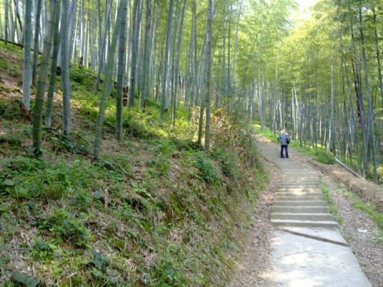 观音岭古道