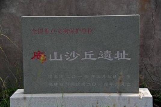 庵山沙丘遗址