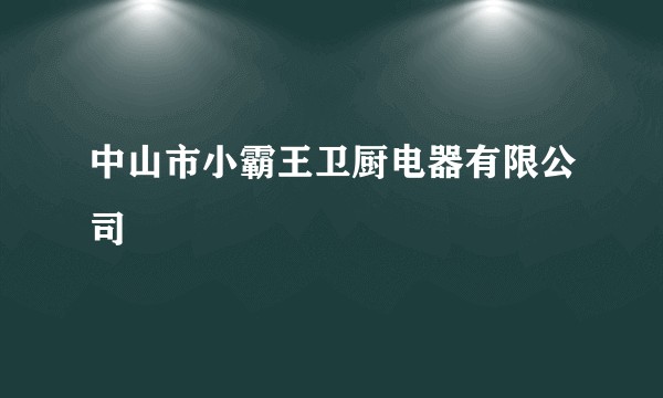中山市小霸王卫厨电器有限公司