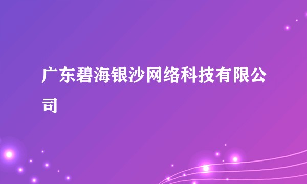 广东碧海银沙网络科技有限公司