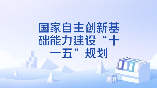 国家自主创新基础能力建设“十一五”规划
