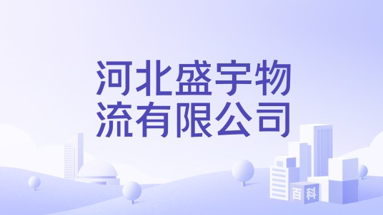 河北盛宇物流有限公司