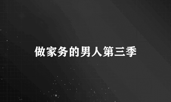 做家务的男人第三季