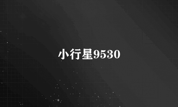 小行星9530