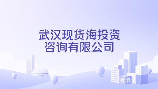 武汉现货海投资咨询有限公司