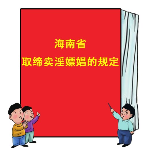 海南省取缔卖淫嫖娼的规定