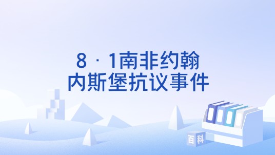 8·1南非约翰内斯堡抗议事件