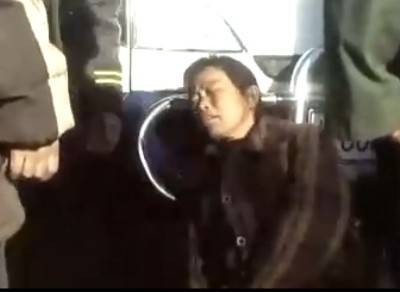 邮递员（刘涛执导的2008年情感电影）