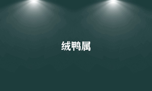 绒鸭属