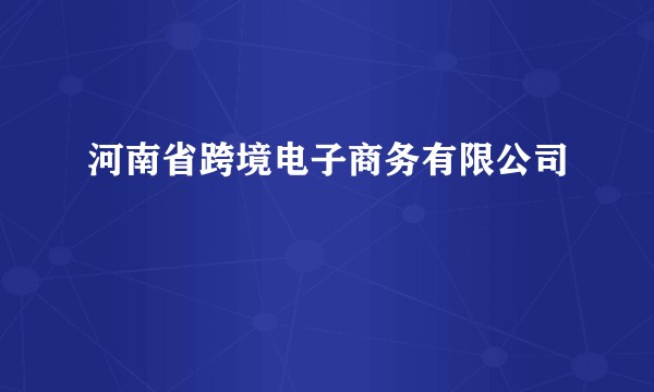 河南省跨境电子商务有限公司