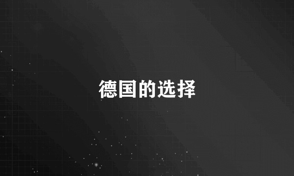 德国的选择