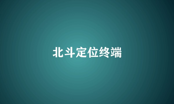 北斗定位终端