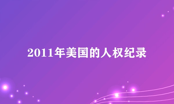 2011年美国的人权纪录