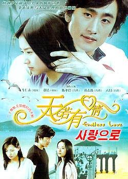 天若有情（2005年董洁、车仁表主演的都市情感剧）
