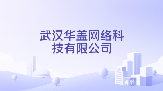 武汉华盖网络科技有限公司