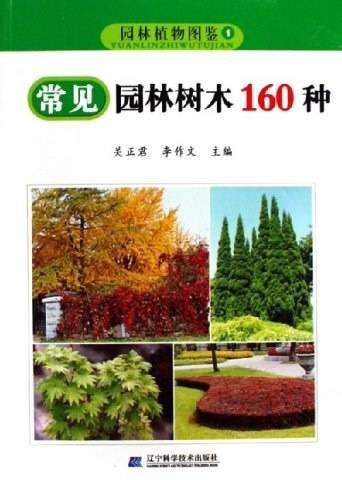 常见园林树木160种