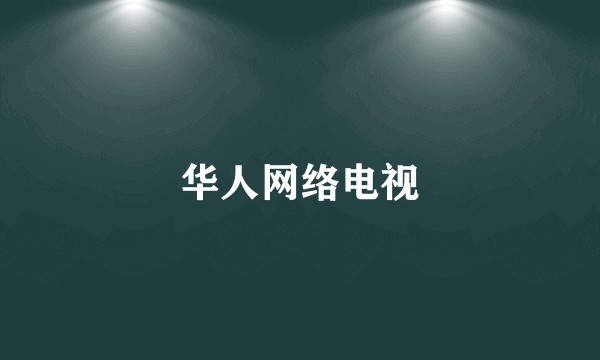 华人网络电视