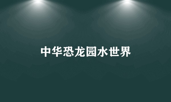 中华恐龙园水世界