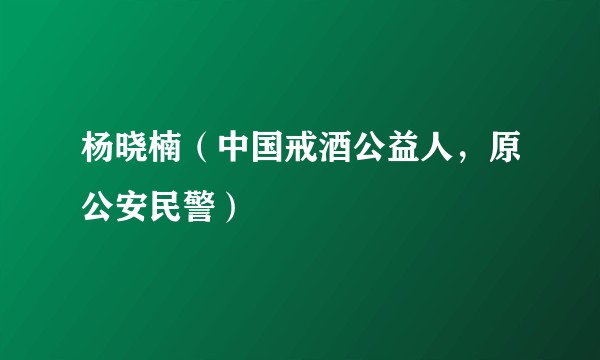 杨晓楠（中国戒酒公益人，原公安民警）