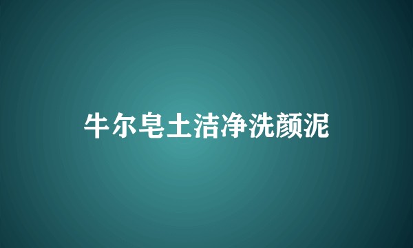 牛尔皂土洁净洗颜泥