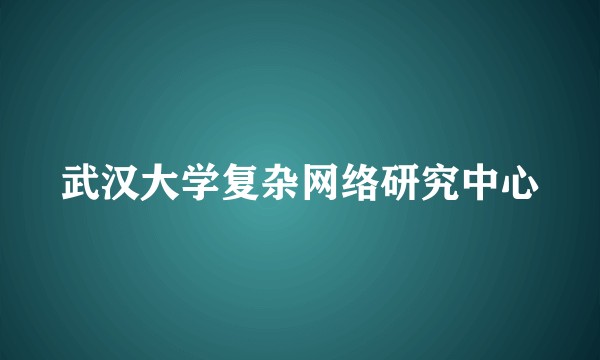 武汉大学复杂网络研究中心