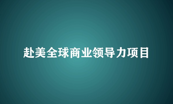 赴美全球商业领导力项目