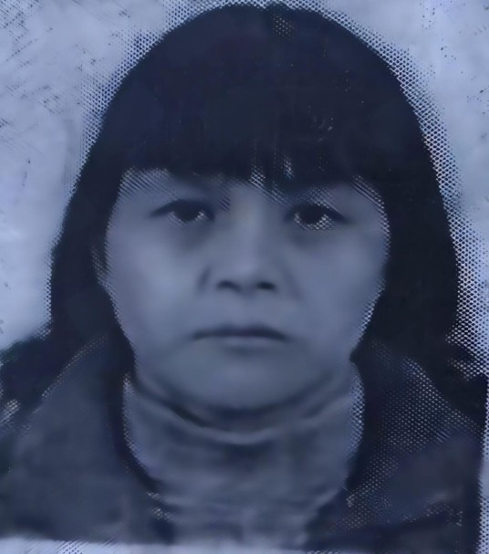 梅姨案