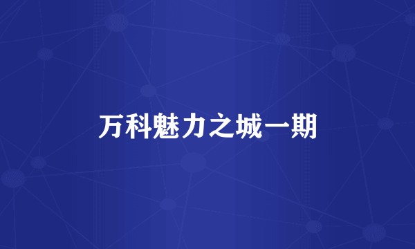 万科魅力之城一期