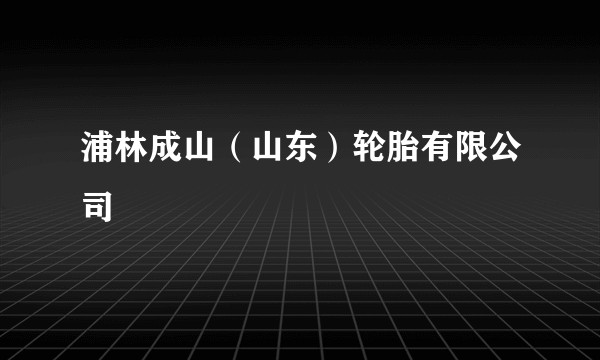 浦林成山（山东）轮胎有限公司