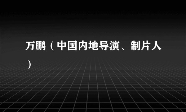 万鹏(中国内地导演、制片人)