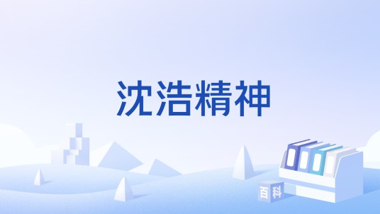 沈浩精神