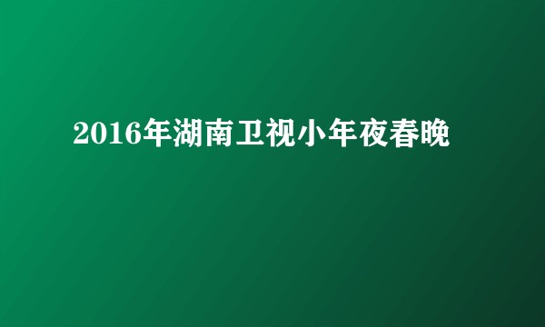 2016年湖南卫视小年夜春晚