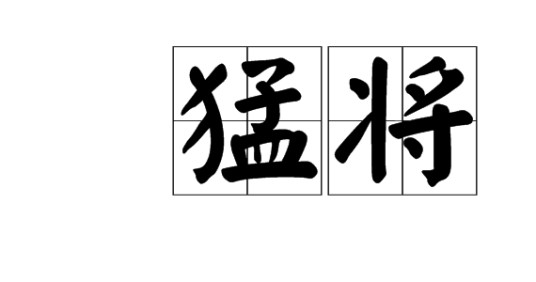 猛将（胡周创作的玄幻题材网络小说）