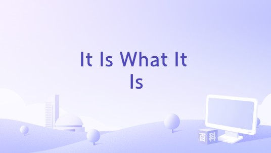 It Is What It Is（2008年电影）