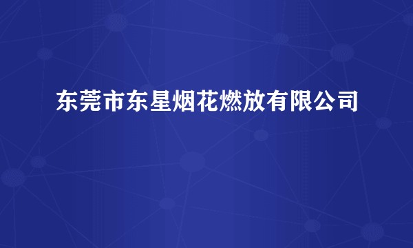 东莞市东星烟花燃放有限公司