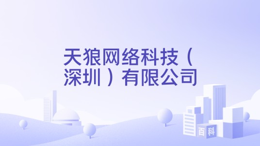 天狼网络科技（深圳）有限公司