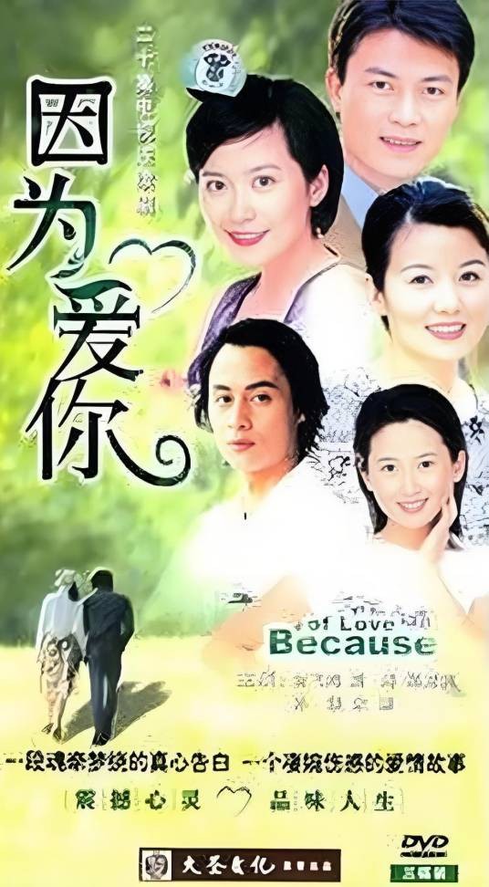 因为爱你（俞飞鸿、郑卫莉主演电视剧）